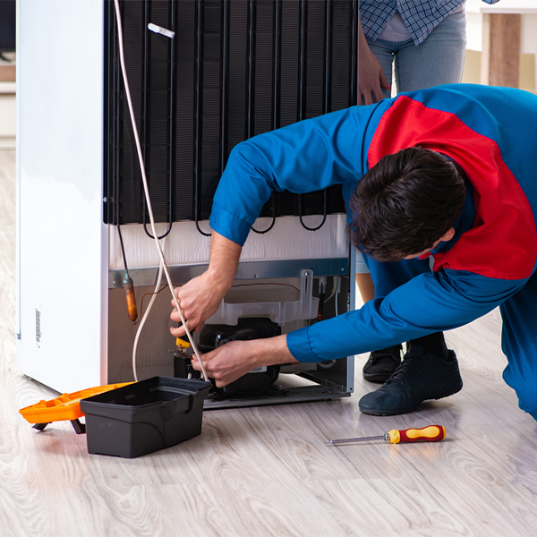 what are the common refrigerator repair services in Stevensville